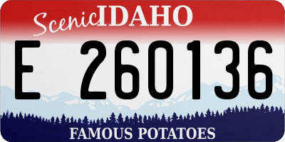 ID license plate E260136