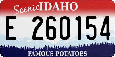 ID license plate E260154