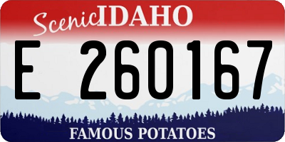 ID license plate E260167