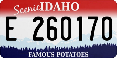 ID license plate E260170