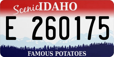 ID license plate E260175