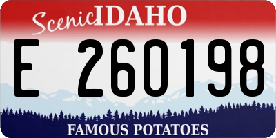 ID license plate E260198