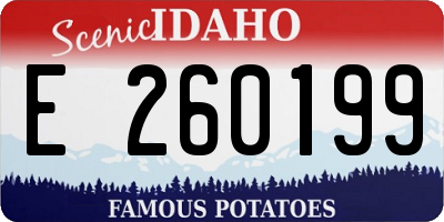 ID license plate E260199