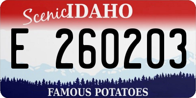 ID license plate E260203