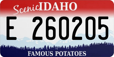 ID license plate E260205