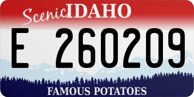 ID license plate E260209