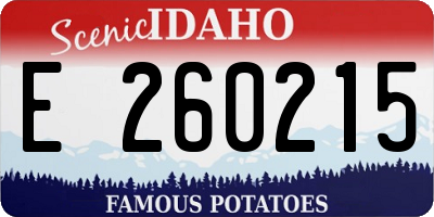 ID license plate E260215