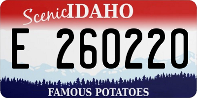 ID license plate E260220