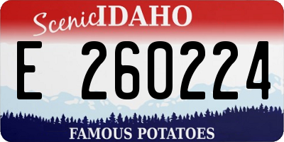ID license plate E260224