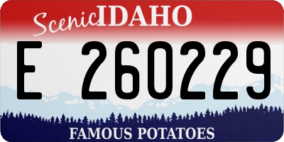 ID license plate E260229