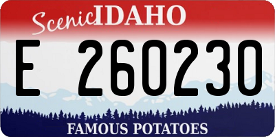 ID license plate E260230