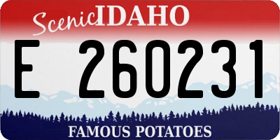 ID license plate E260231