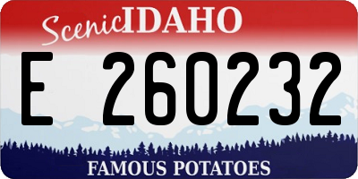 ID license plate E260232