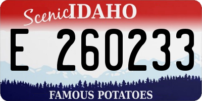 ID license plate E260233