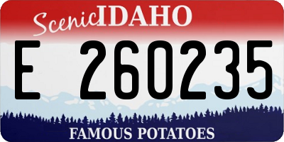 ID license plate E260235