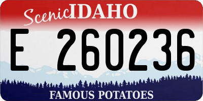 ID license plate E260236