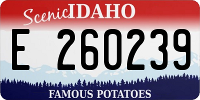 ID license plate E260239