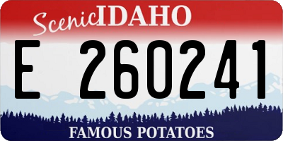 ID license plate E260241