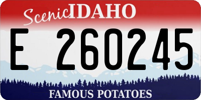 ID license plate E260245