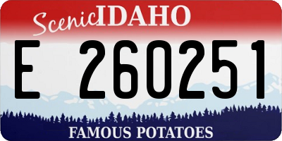 ID license plate E260251