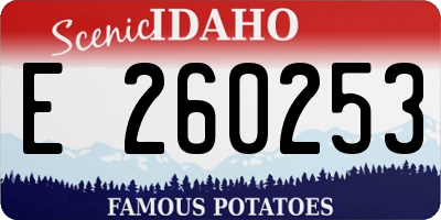 ID license plate E260253