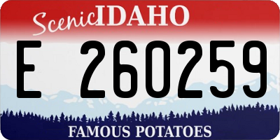 ID license plate E260259