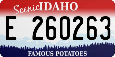 ID license plate E260263