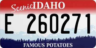 ID license plate E260271