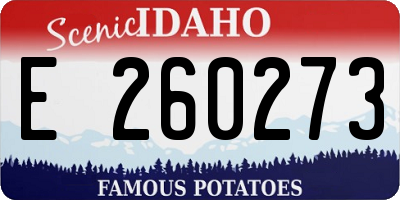 ID license plate E260273
