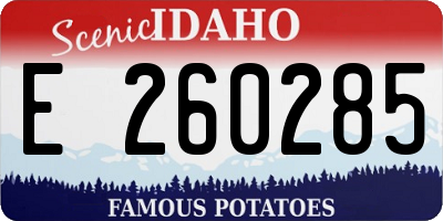 ID license plate E260285