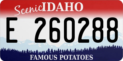 ID license plate E260288