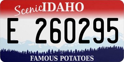 ID license plate E260295