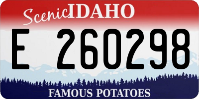 ID license plate E260298