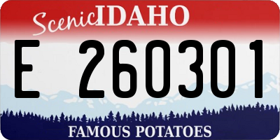 ID license plate E260301