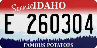ID license plate E260304