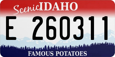 ID license plate E260311