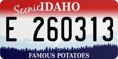 ID license plate E260313