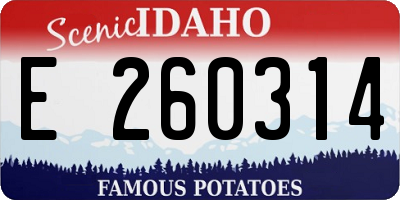 ID license plate E260314