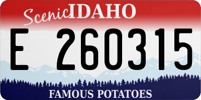 ID license plate E260315