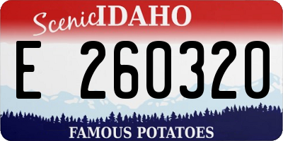 ID license plate E260320