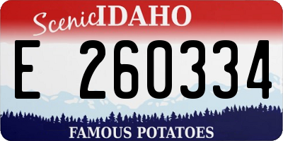 ID license plate E260334