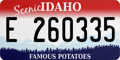 ID license plate E260335