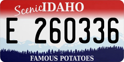 ID license plate E260336