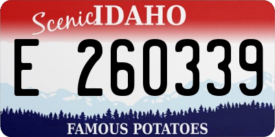 ID license plate E260339