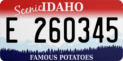 ID license plate E260345