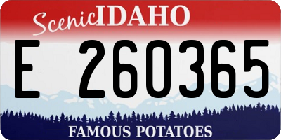 ID license plate E260365