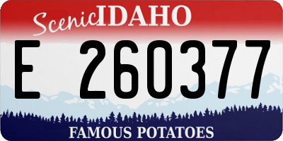 ID license plate E260377