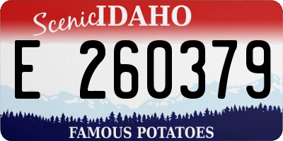 ID license plate E260379