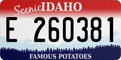 ID license plate E260381