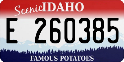 ID license plate E260385